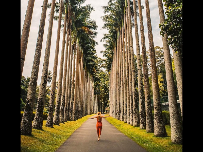 Discovery Tour Of Sri Lanka